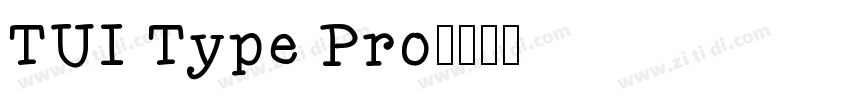 TUI Type Pro字体转换